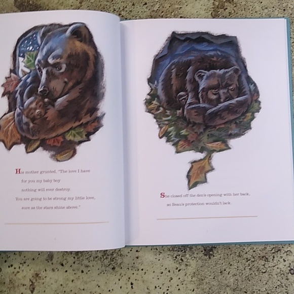 Beauregart Bear Children's Picture Book Daycare Preschool Home School - Picture 5 of 6